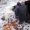 20161218_152816